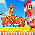 Egg Challenge